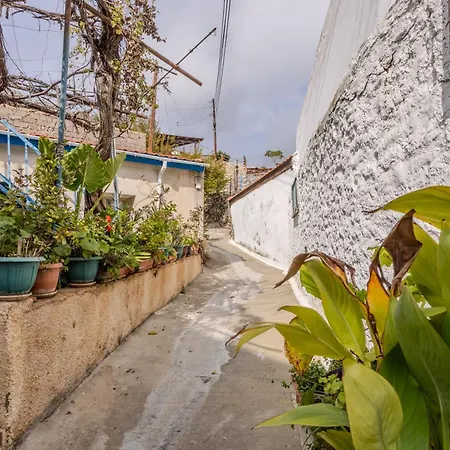 'i Folia' With Roof Garden And Terrace * Pissouri