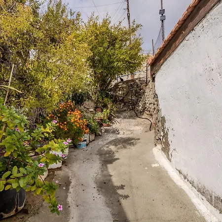 'i Folia' With Roof Garden And Terrace Casa vacanze