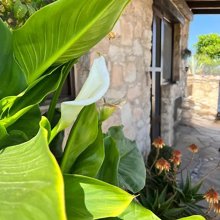 'i Folia' With Roof Garden And Terrace Pissouri